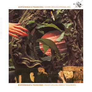 Higher Ground (Marco Tegui Remix)