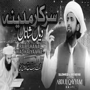 Rab Shana Wadhaiyan Ne (Lofi-Mix)