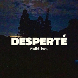 Desperté