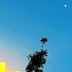 5555555555555555555555