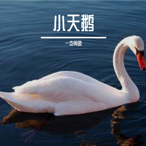 多年后的追寻.wav