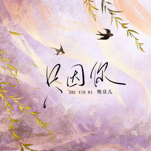 只因你（DJ版）