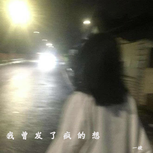 我曾发了疯的想