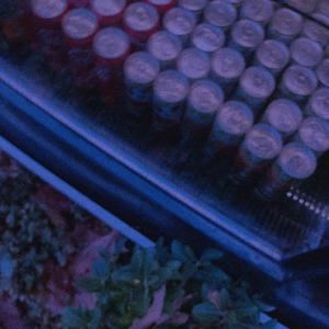 seni asla ağlarken görmelerine izin verme (sped up)