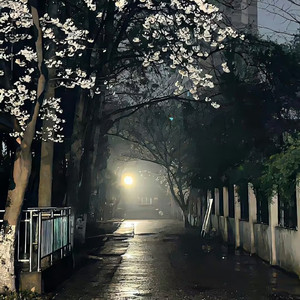不见你的雨天