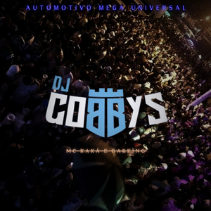 AUTOMOTIVO MEGA UNIVERSAL