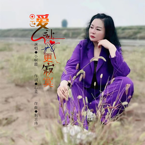 是爱让我更寂寞