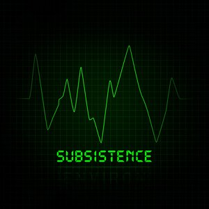 Subsistence