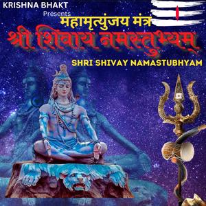 महामृत्युञ्जय मन्त्र || श्री शिवाय नमस्तुभ्यम् Shri Shivay Namastubhyam