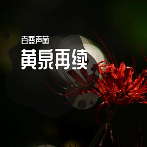 黄泉再续（磁性男声版）