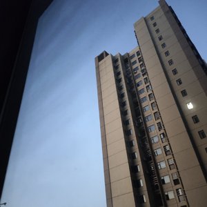 T H E ''C O L D N I G H T''