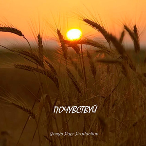 Почувствуй