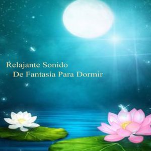 Se Eliminan Las Preocupaciones