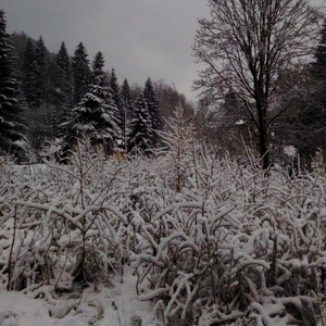 We'd Look Bad Together