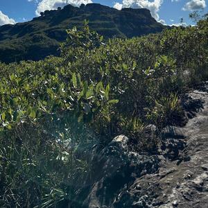 Summoned (feat. Vizcor)