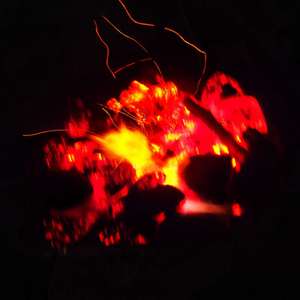 我不能在南方陪你一起悲伤