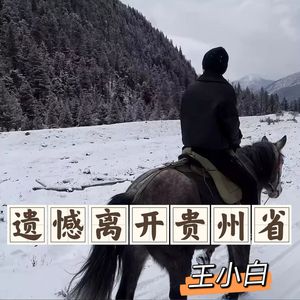 遗憾离开贵州省