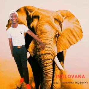 Wamthatha ngempela (feat. Gqobha & Inkunz' emdwayidwa)