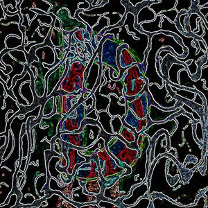 【Free Beat】可爱和你