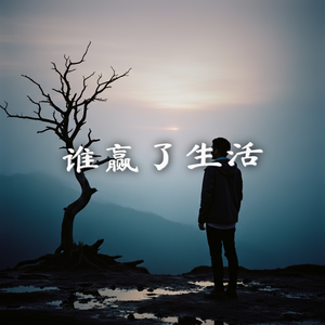 谁赢了生活
