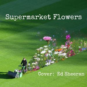 Supermarket Flowers [Acoustic]（翻自 Ed Sheeran）