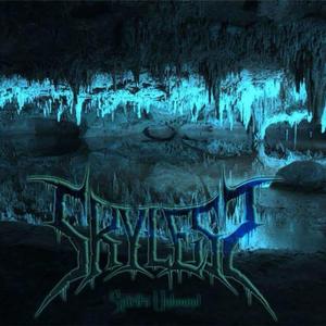 Ghosts in the Forest