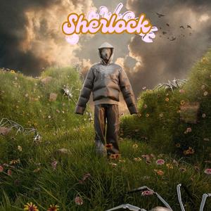 Sherlock (feat. Baaghi) (Imda1 Remix Radio Edit)