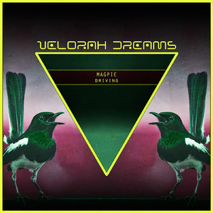 Driving (Extended Mix)