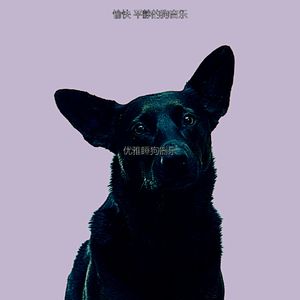抚慰的小狗回忆