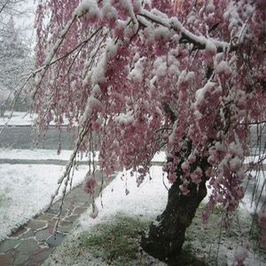 我躲进衣柜（prod.EVO MUSIC）