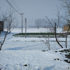 我和我的朋友 (Demo)