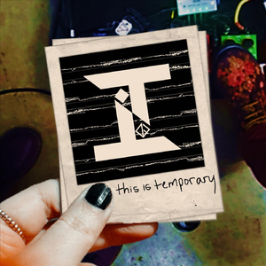 Cat in the Window (feat. Cameron Jo Boyd)