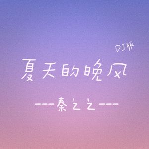 夏天的晚风DJ版