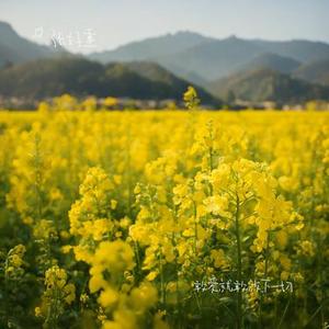 敢爱就敢放下一切