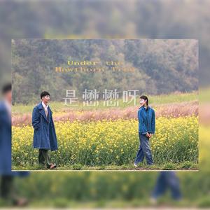 雷智皓-山楂树之恋（治愈温柔版）（是懋懋呀（李懋） remix）