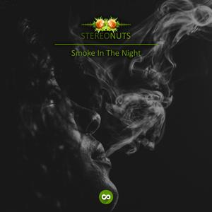 Smoke In The Night