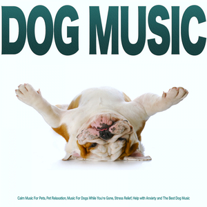 Dog Music