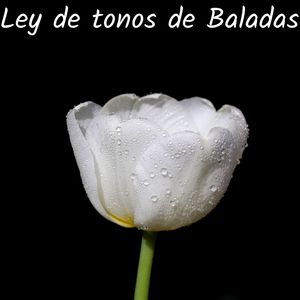 Agradecido