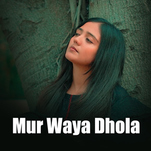 Mian Tedi Chawarn Wali Han