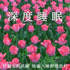 疗愈安眠哄睡（轻音乐）