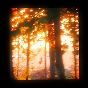 白菜对我笑(desce até o chão)