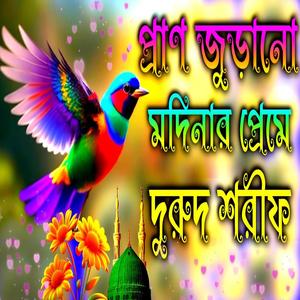 প্রাণ জুড়ানো মদিনার প্রেমে নতুন দুরুদ শরীফ __ পৃথিবীর সেরা দুঃখের দুরুদ শরীফ __Ghazal