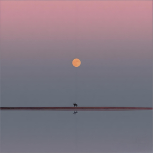 我有一个好朋友