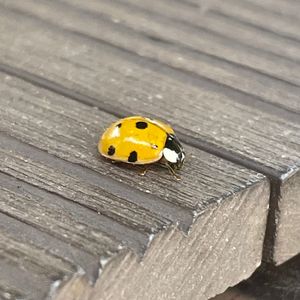 从四栋宿舍到六栋宿舍