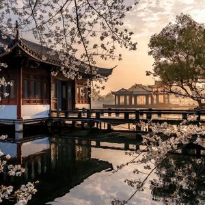 如果什么都是命中注定安排好的