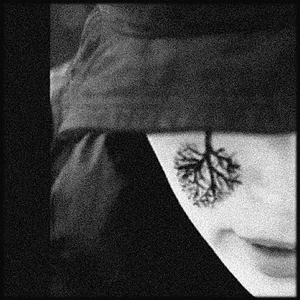 Обесцвеченное