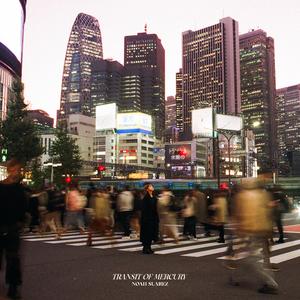 Meu Amor (Frank's Interlude)