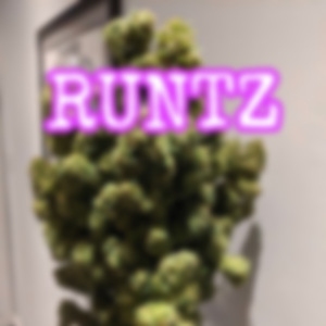runtz