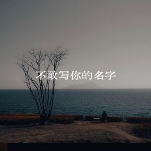 不敢写你的名字