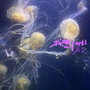 我想（prod.by BECU BEATZ）